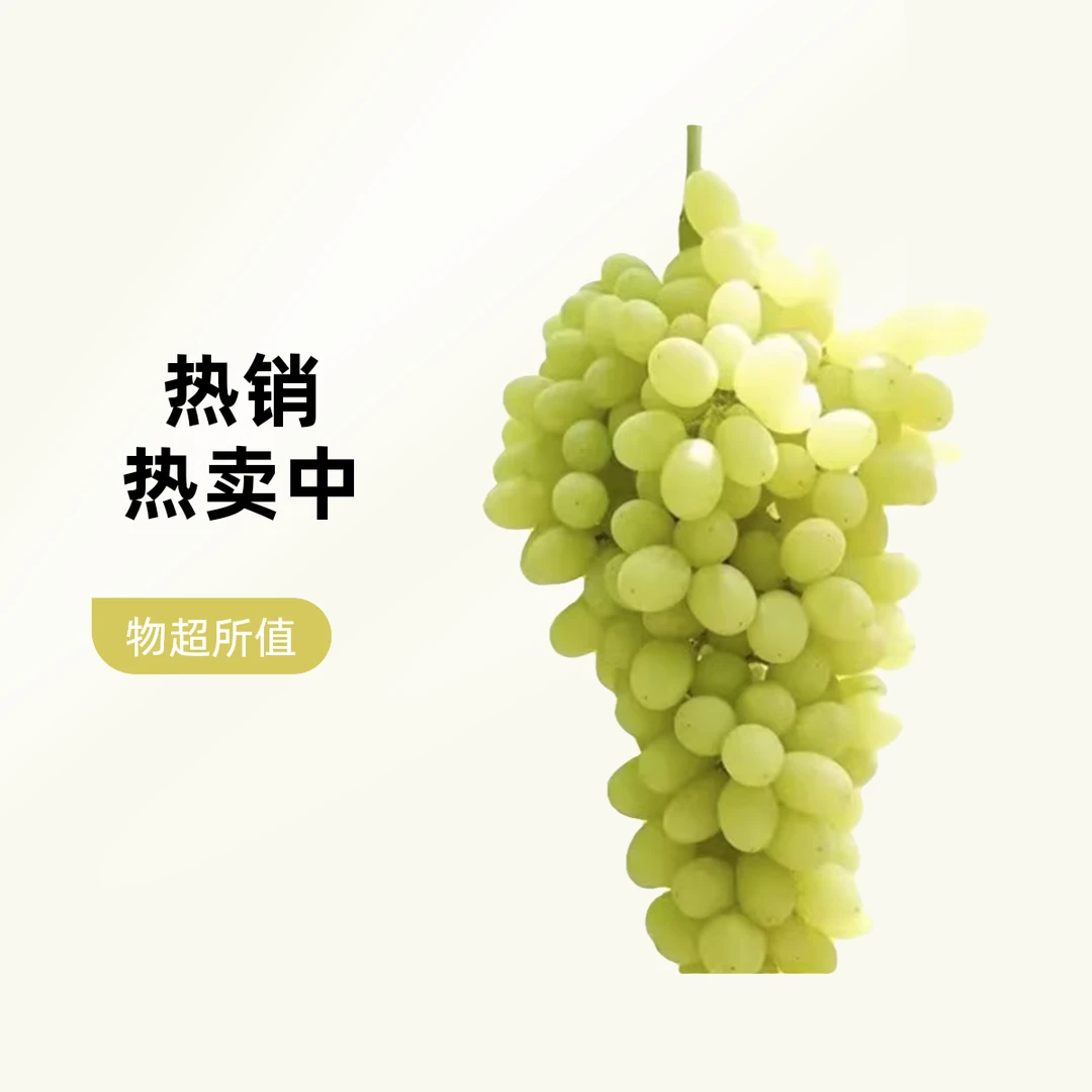 新疆空运无核白葡萄马奶提酸甜多汁山东省