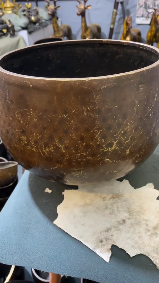 l*i11111111111111111