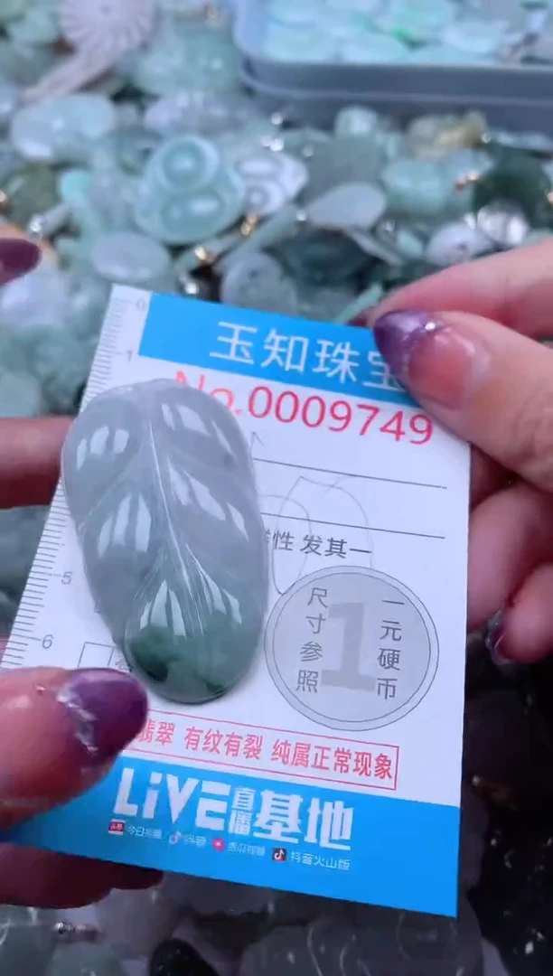 翡翠未镶嵌吊坠(不含链)9749