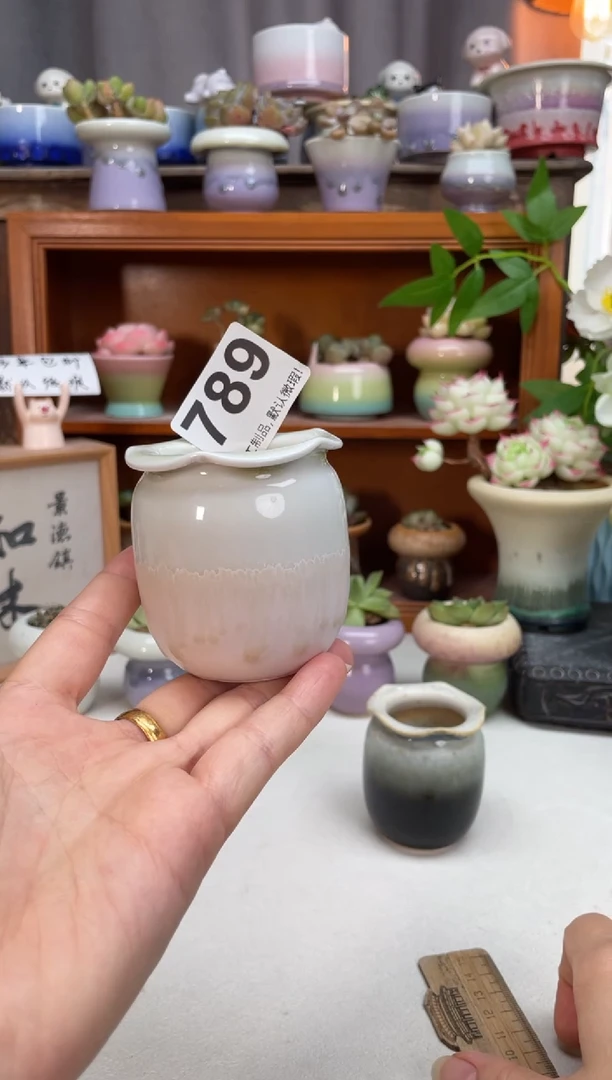 瓷片香**泡789微瑕知木小芳花盆