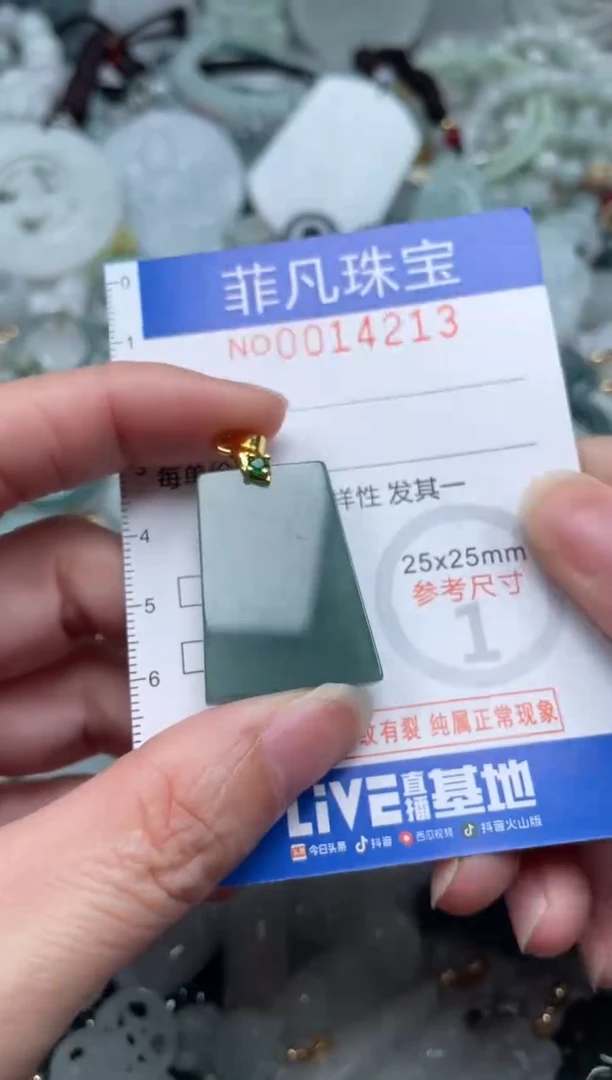 颈饰未镶嵌翡翠14213