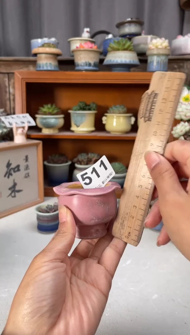 瓷片511小芳直播编号