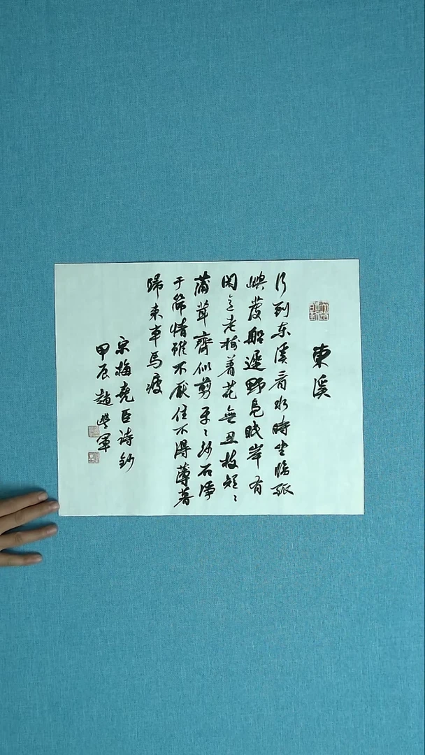 【闪购商品】书法009 河南赵丰军中书协34*34