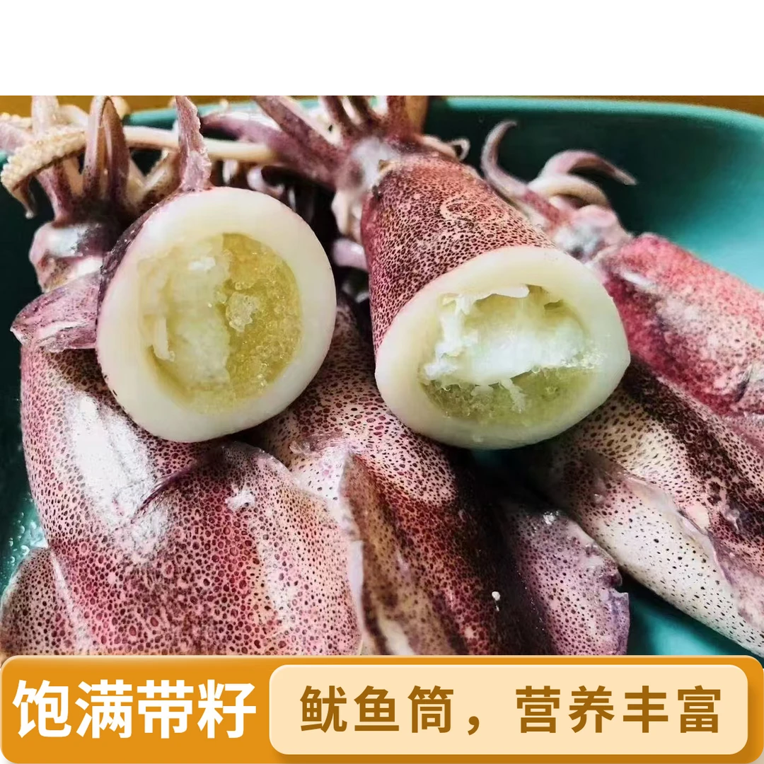 东山新鲜海捕母管鱿鱼速冻乌贼笔管鱿海兔严选生鲜带籽品质