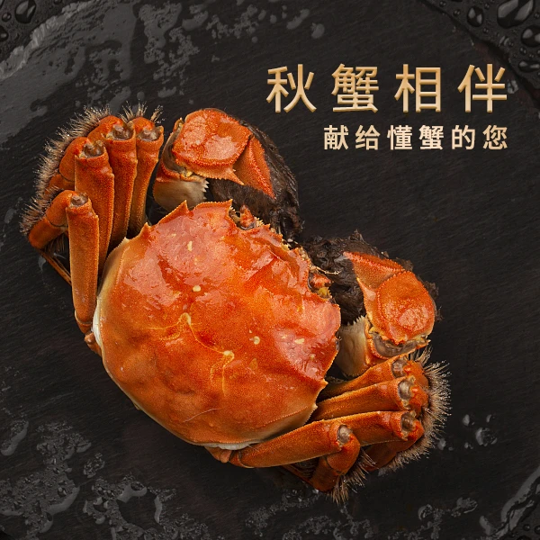 ZR【活蟹】苏州大闸蟹公蟹5.3-5.0两+母蟹4.3-4.0两 礼盒装活蟹现发 顺丰/京东发货 买3对送1对共8只 M22