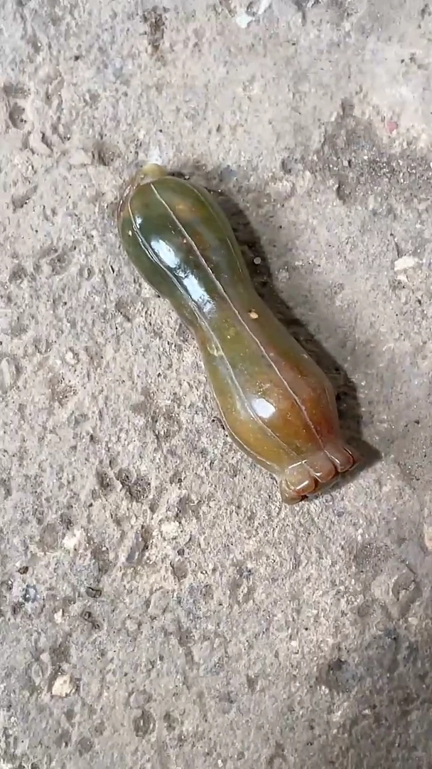 【闪购商品】瓷片手工，手绘，陶器