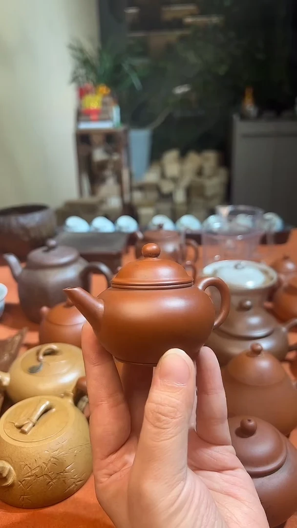 雷*雨老壶888888888