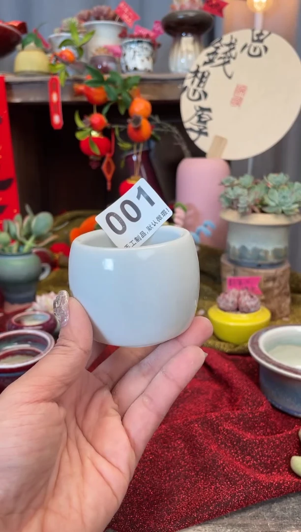 【闪购商品】摆件001知木小芳花盆编号