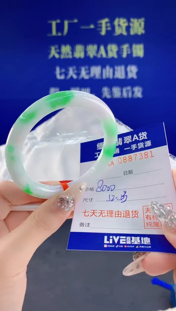 未镶嵌手镯翡翠81