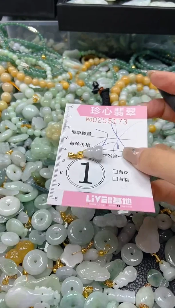 翡翠未镶嵌颈饰闪购0255173