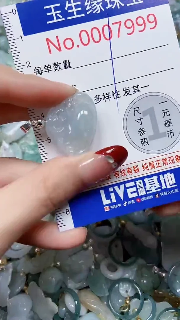 【闪购商品】翡翠颈饰未镶嵌闪购00007999