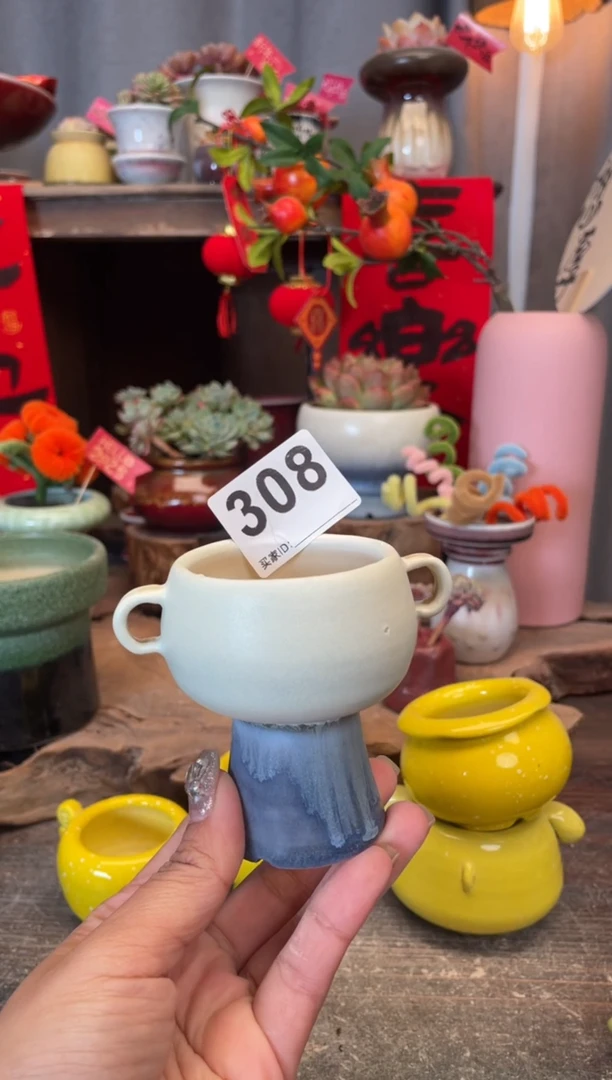 【闪购商品】摆件308知木小芳花盆