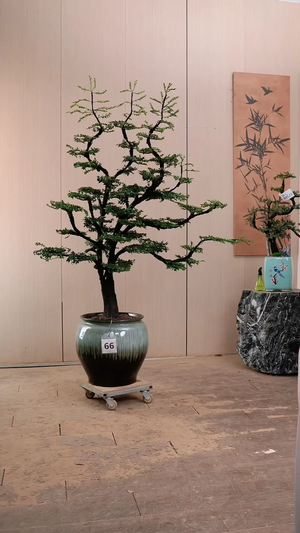 【闪购商品】66号链接