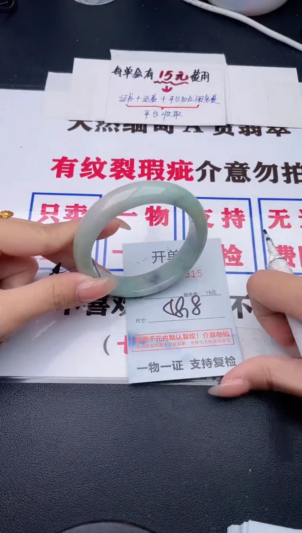 未镶嵌手镯翡翠15