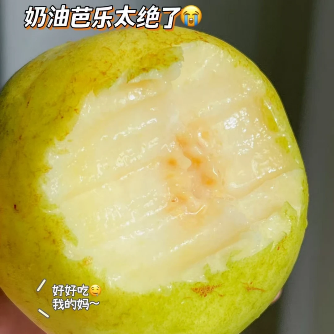 （果甄鲜）白心芭乐一箱带箱2.5斤左右