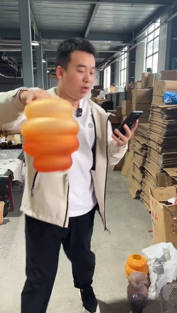 花瓶客厅餐桌插花装饰好物