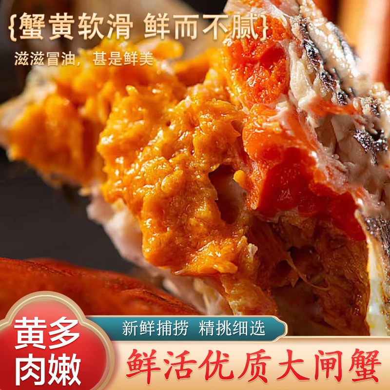 【活蟹】江苏大闸蟹金标全公蟹4.0-3.7两礼盒到手8只装