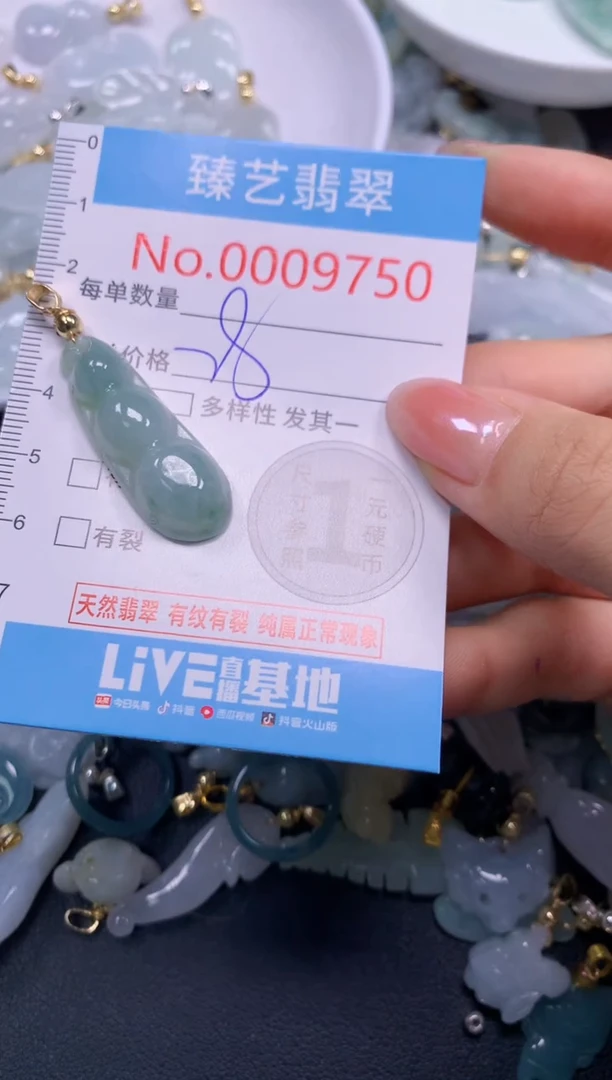 颈饰未镶嵌翡翠9750