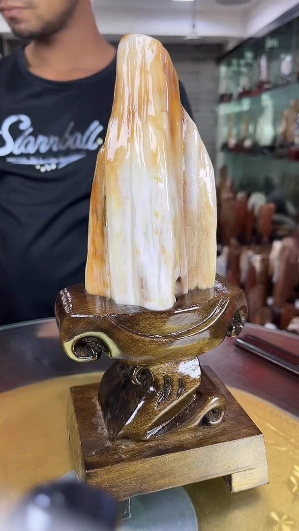 硅化玉珠宝奇石未镶嵌缅甸天然树化玉摆件