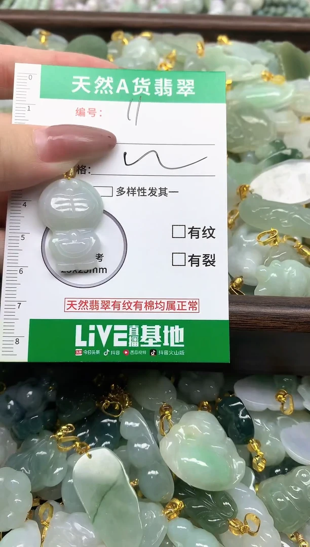 颈饰未镶嵌翡翠纯天然缅甸A货翡翠-11