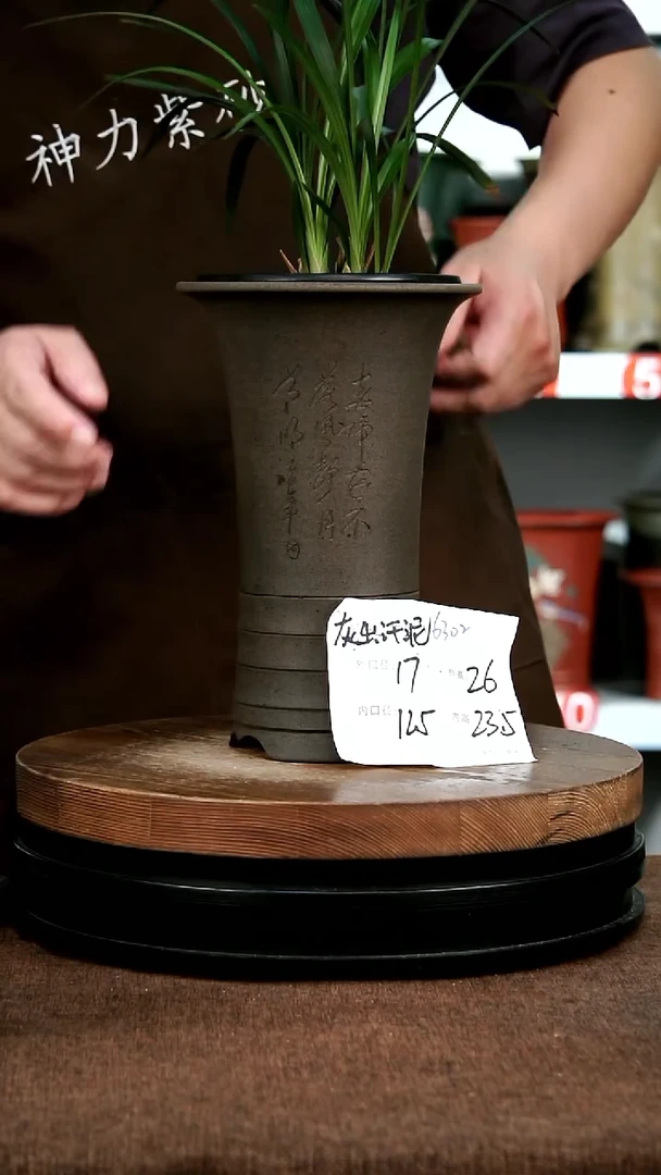 紫砂花盆花卉园艺6302