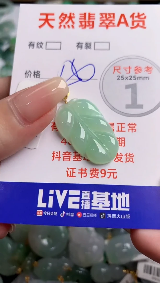翡翠18K金镶嵌颈饰0482264246