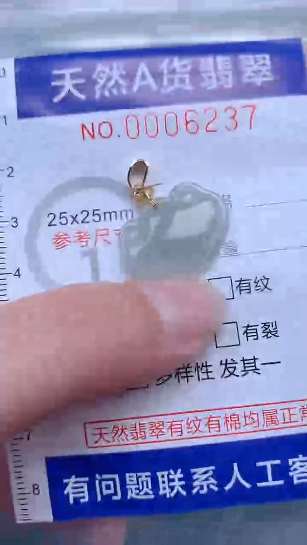 翡翠未镶嵌吊坠(不含链)1