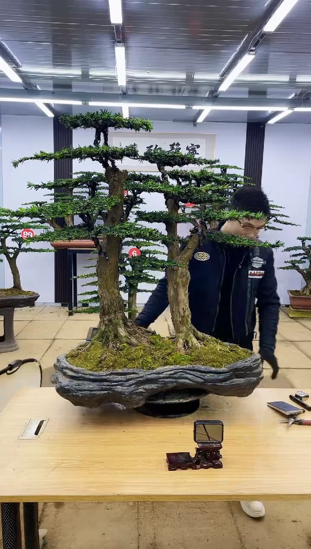 【闪购商品】00000000