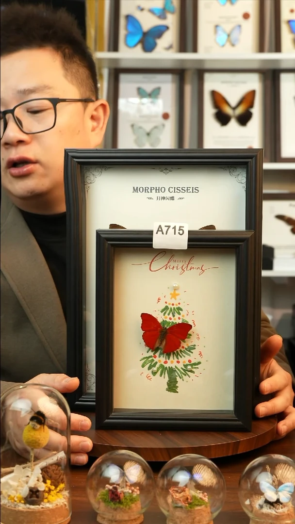 血漪蛱蝶-圣诞款（8寸方黑色欧式框）A715