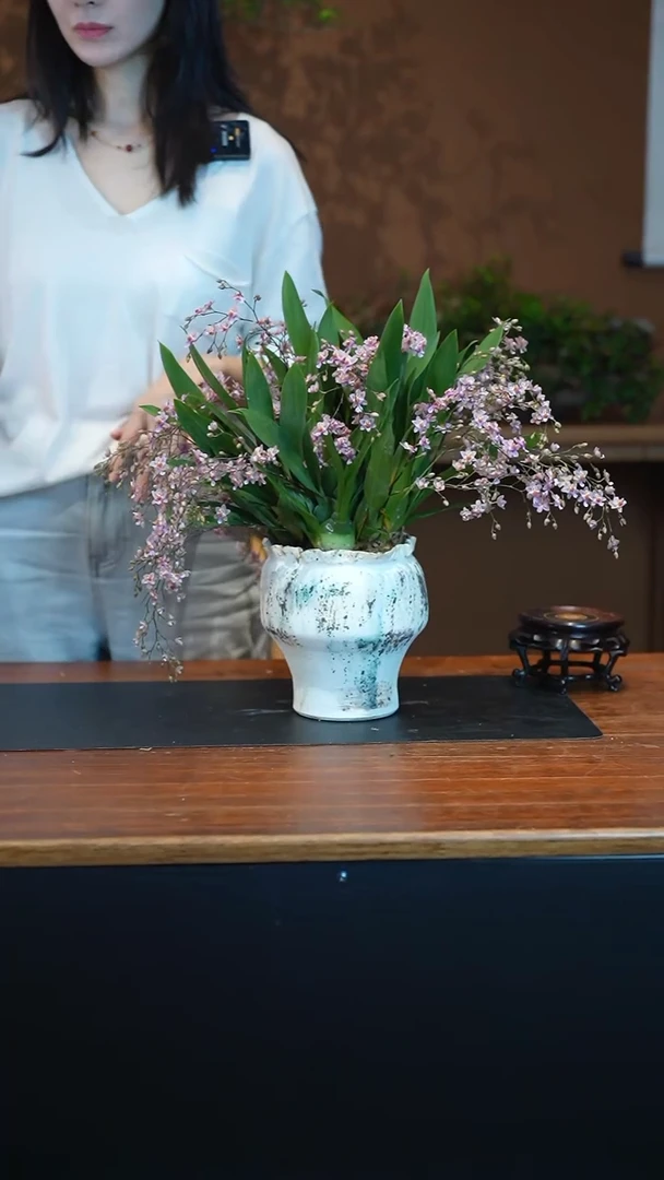 全部花朵粉梦香盆景盆景盆景