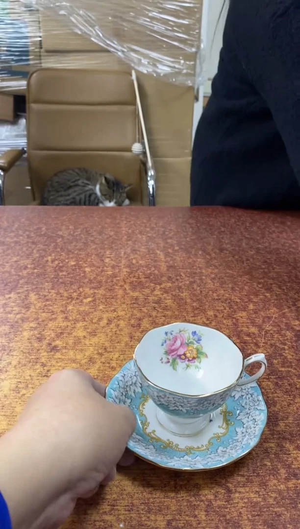 瓷片404小林轩欢迎您