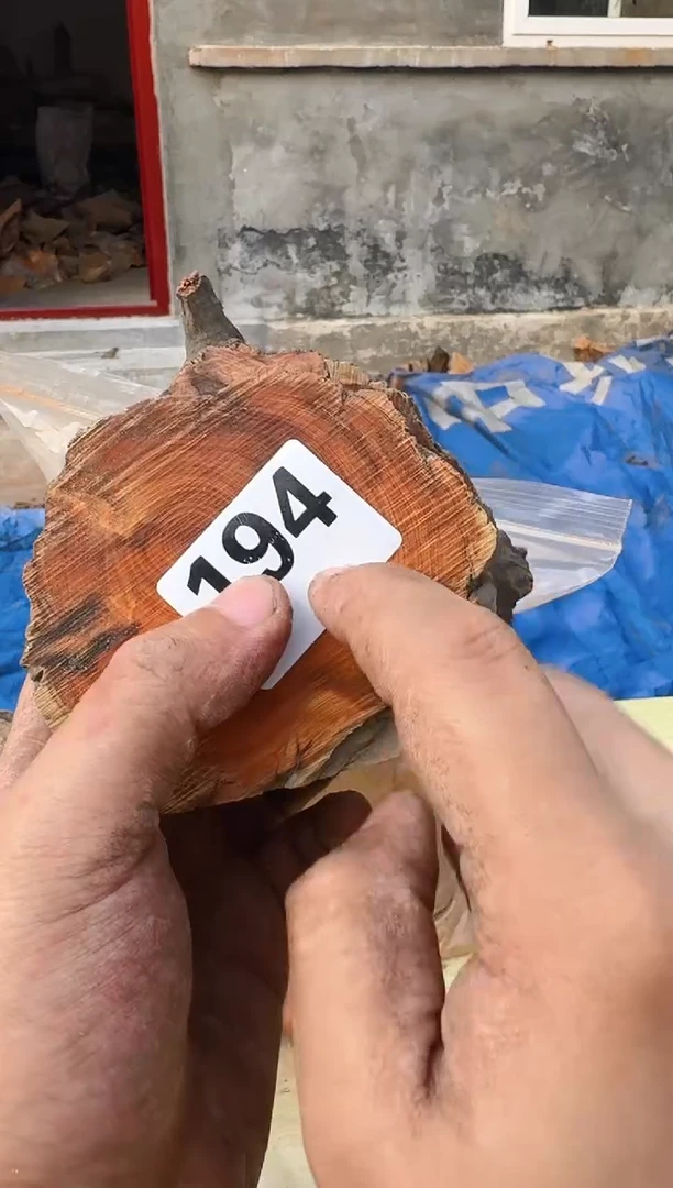 柏木（崖柏）太行陈化崖柏香片！卡1.5随机一片！（1单1片）194