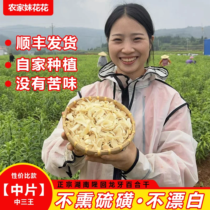 【大片/大三王】湖南隆回龙牙百合干2024年新货农户种植