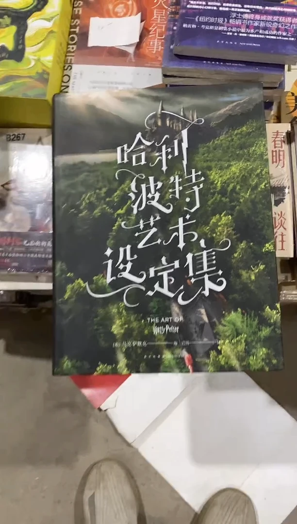 哈利波特艺术设定集 微瑕