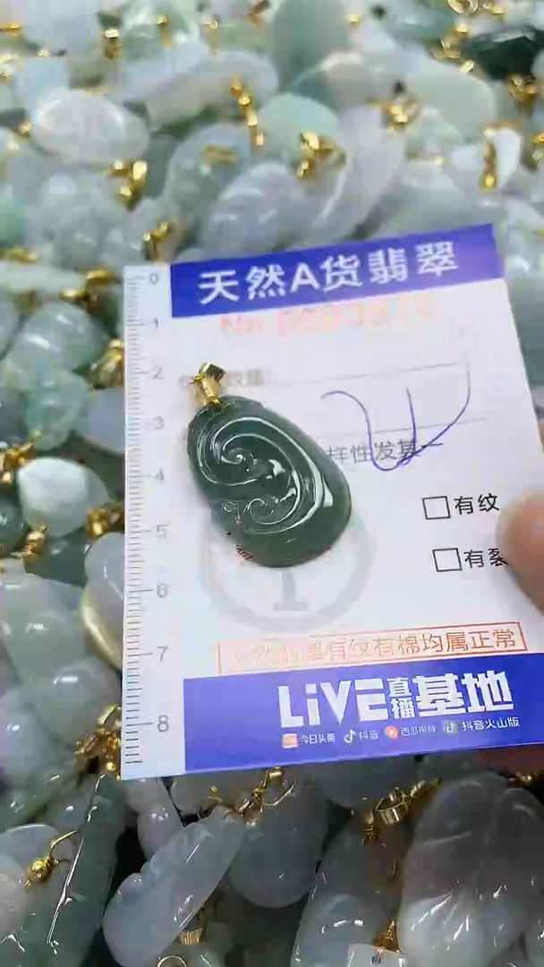 颈饰未镶嵌翡翠纯天然a货翡翠