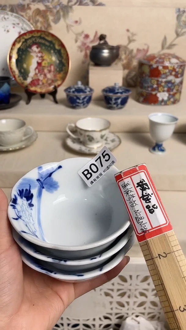 陶瓷瓷片    B075