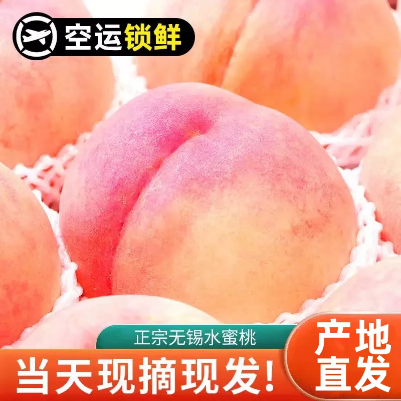正宗无锡水蜜桃阳山水蜜桃子纯甜多水白凤新鲜水果8-12枚礼盒装