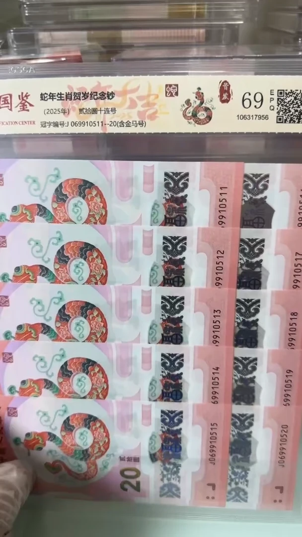 【闪购商品】塑料069910511-蛇钞标十！