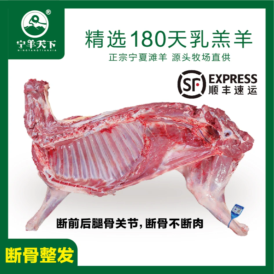 宁羊天下宁夏滩羊10斤整半只新鲜精品羊排羊腿产地直发送礼必备