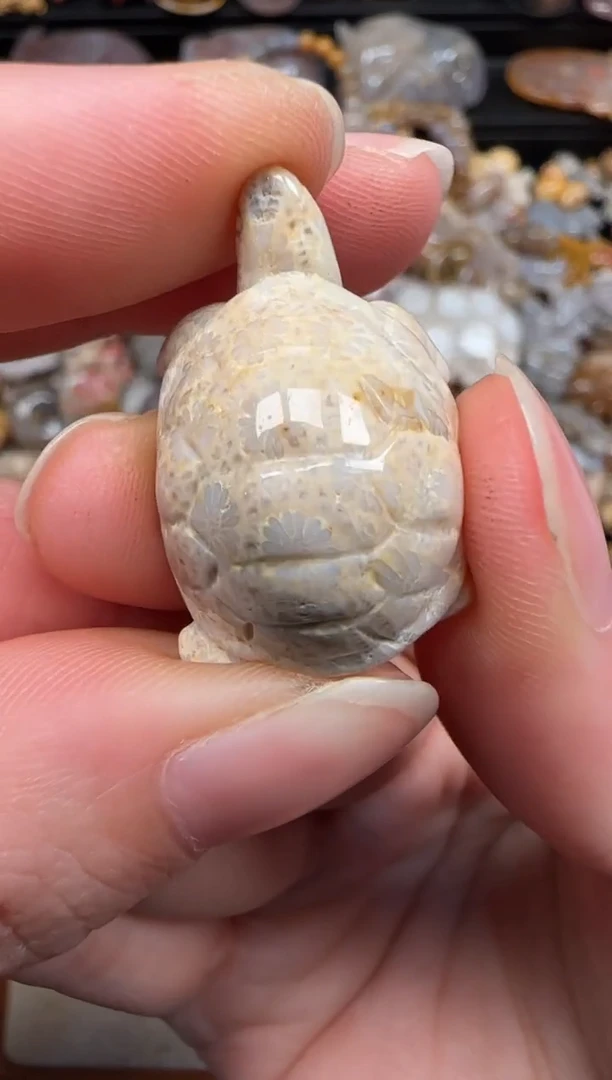 硅化珊瑚（珊瑚玉）未镶嵌颈饰700