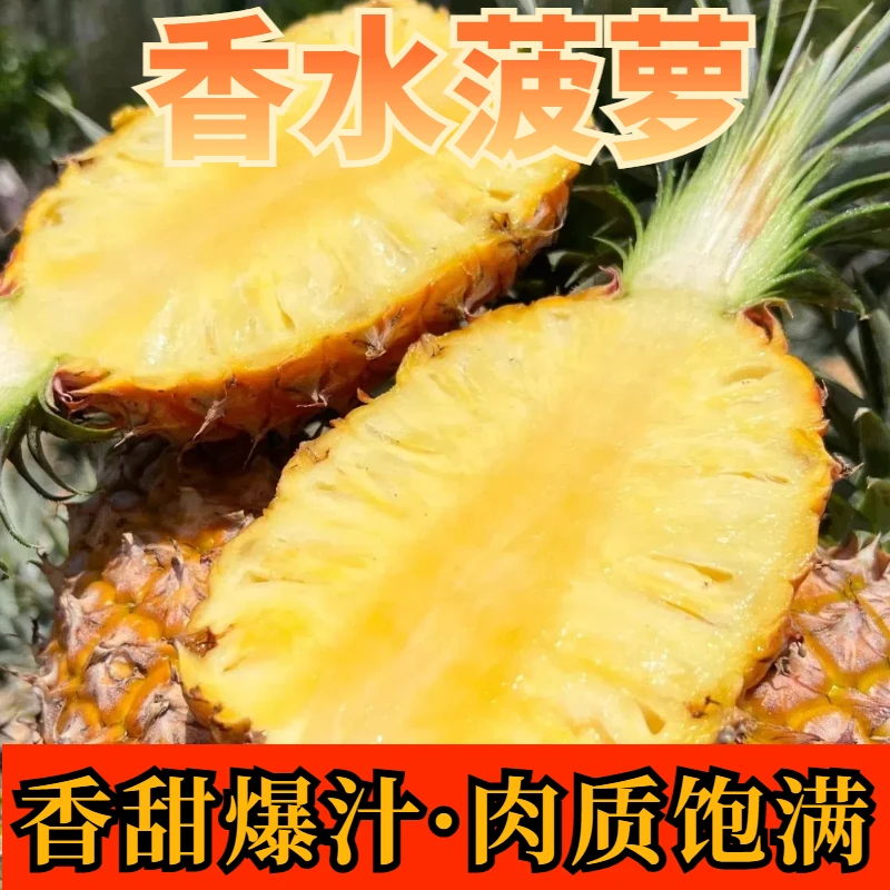 【甜蜜多汁】正宗香水菠萝 现摘树上熟 助农特产 新鲜生鲜水果