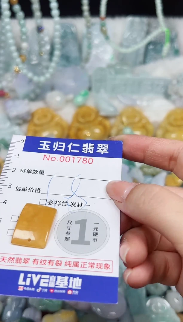 颈饰未镶嵌翡翠120