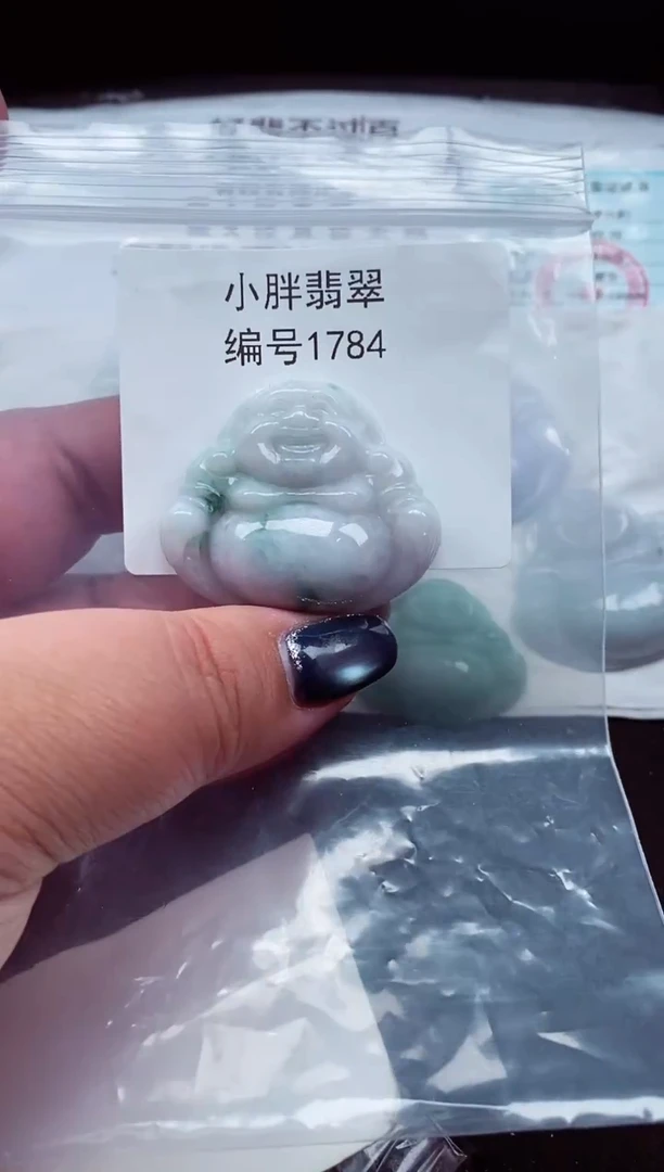 颈饰未镶嵌翡翠缅甸天然A货翡翠1784