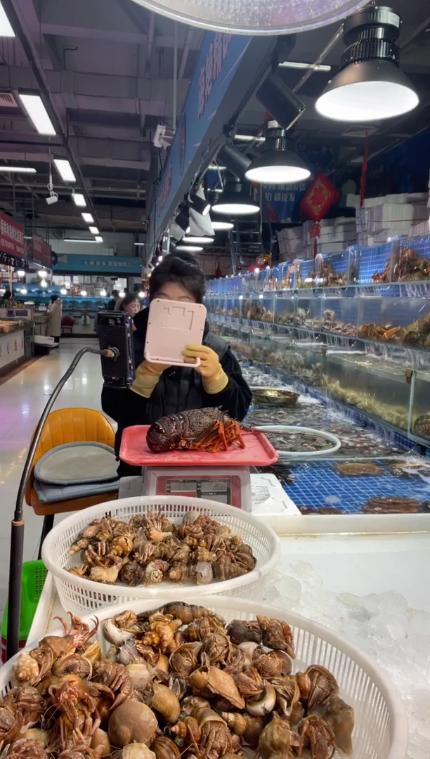 中国大陆断氧澳龙1只，3.5斤