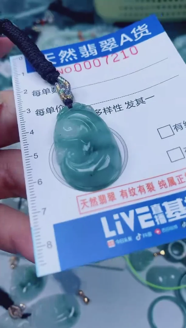 颈饰未镶嵌翡翠00007210