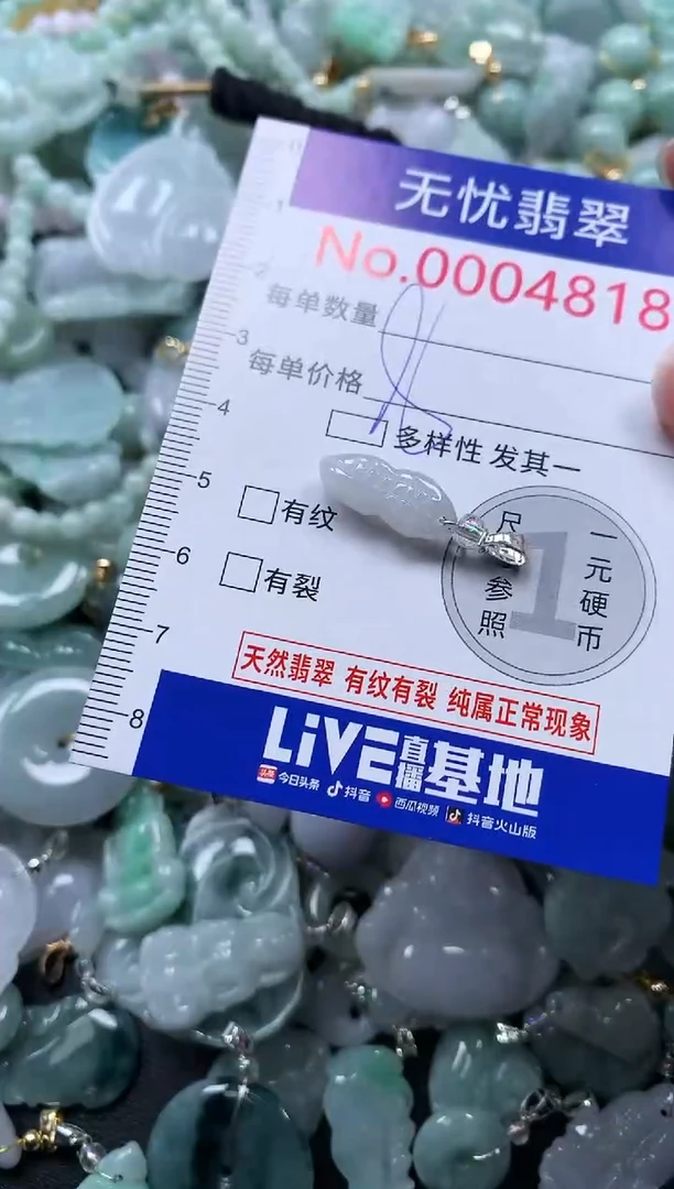 颈饰未镶嵌翡翠4818