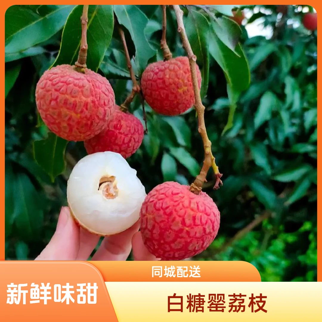 【同城配送】白糖罂荔枝（1件8斤左右）海南省