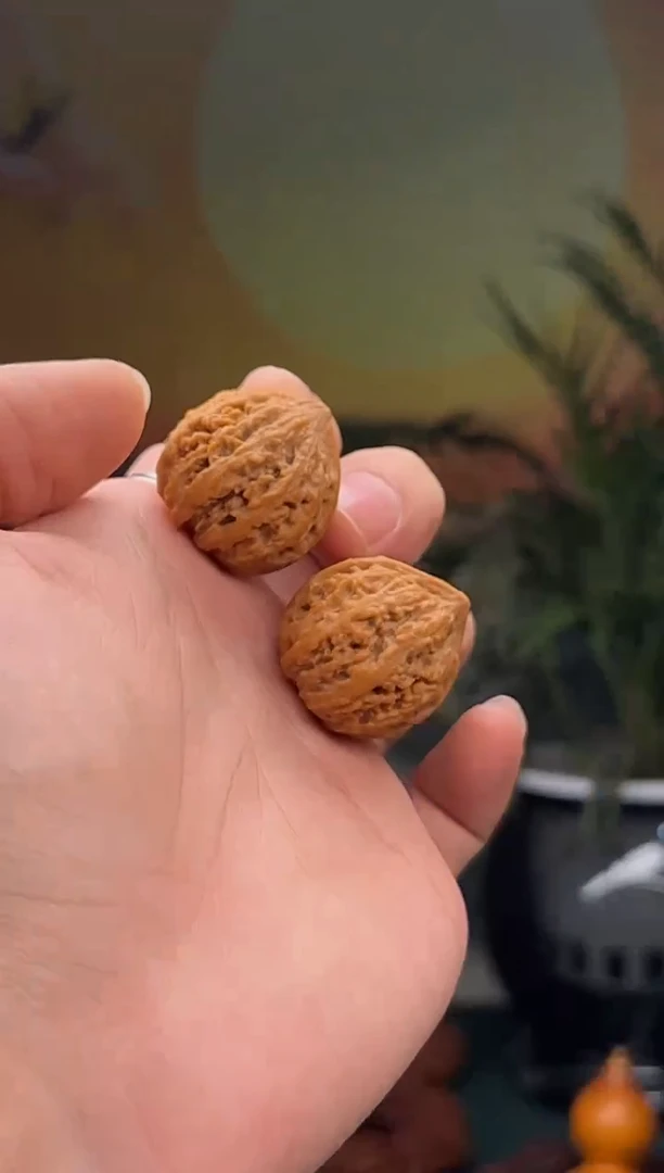 【闪购商品】文玩核桃吊坠小秋子一对（小手捻）
