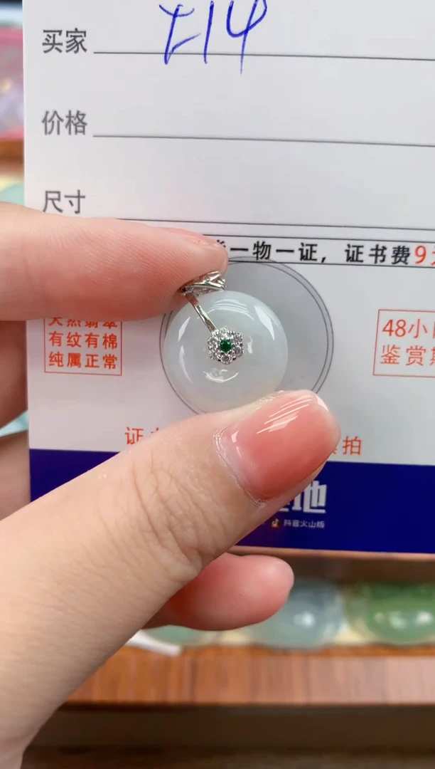 颈饰未镶嵌翡翠天然A货翡翠挂件