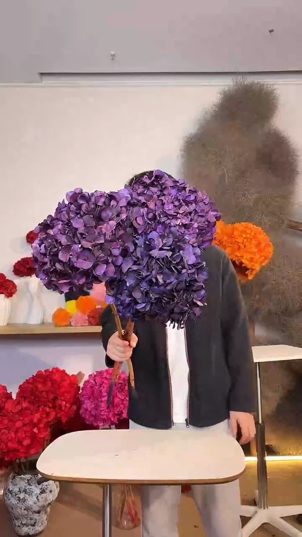 S级 吸色永生大叶绣球3枝 紫